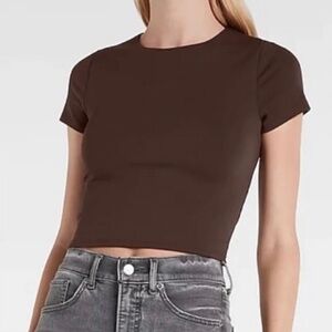 Express Espresso Brown Cropped Body Contour Tee size Medium